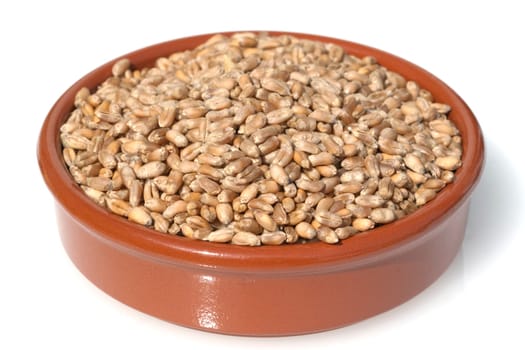 Triticale, Wintertriticale, Triticosecale, rimpauii