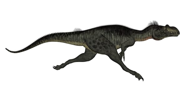 Megalosaurus dinosaur running isolated in white background - 3D render