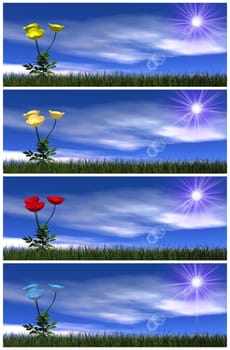 Set of colorful poppy flowers by day - 3D render