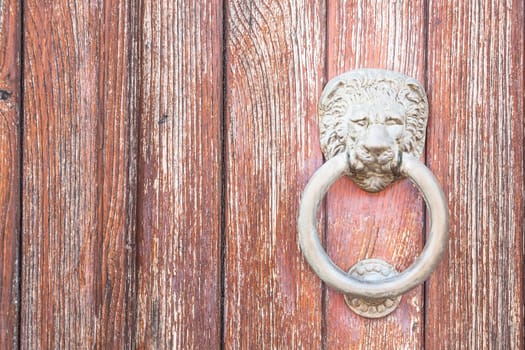 Lion head on wood. Particular of a knocker