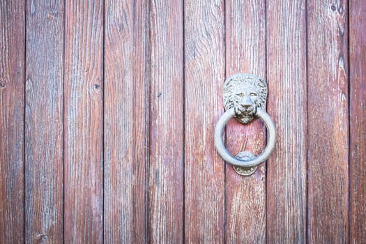 Lion head on wood. Particular of a knocker