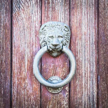 Lion head on wood. Particular of a knocker
