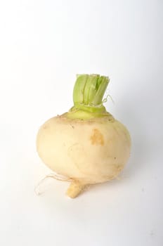 Young turnips on a white background