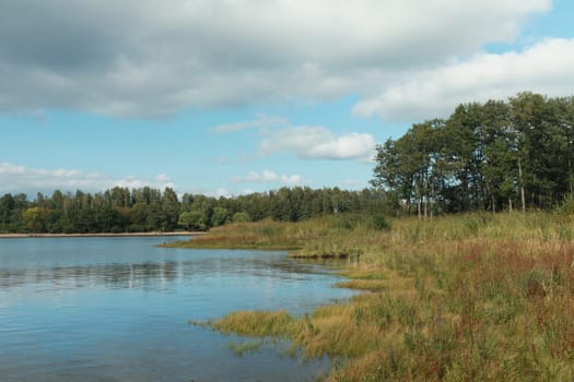 lake shore, yellow sedge, low cumulus clouds, early autumn, picturesque landscape