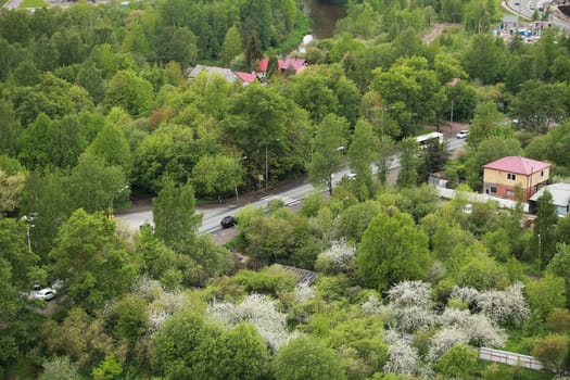 country road, green trees, rooftops aerial view
