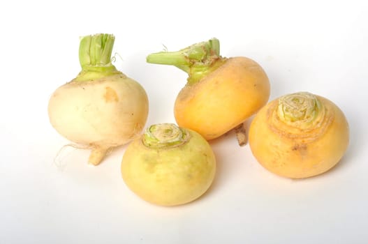 Young turnips on a white background