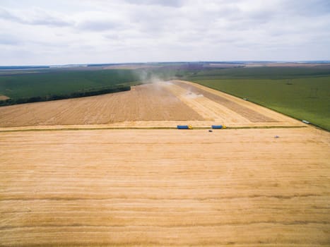 Harvesting in the field. Land cultivation.