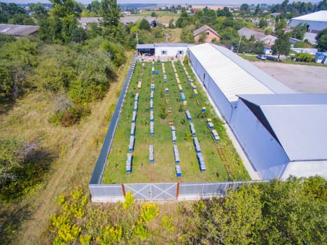 Aerial dron view of the Great Apiary. Many healthy families of honey bees. Industrial beekeeping.