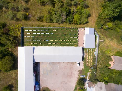 Aerial dron view of the Great Apiary. Many healthy families of honey bees. Industrial beekeeping.