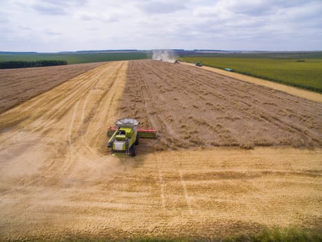 Harvesting in the field. Land cultivation.