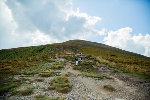 Mountain hiking through a large green meadow. Trip to the mountains.