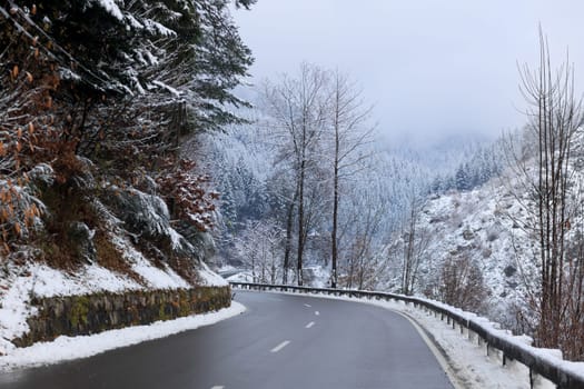 cleared country road in winter