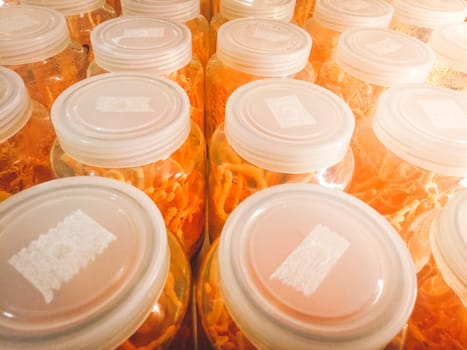 Cordyceps militaris in glass bottles at herbal farm  within light and temperature control room. Chinese medicine . Chinese herb . supplementary food