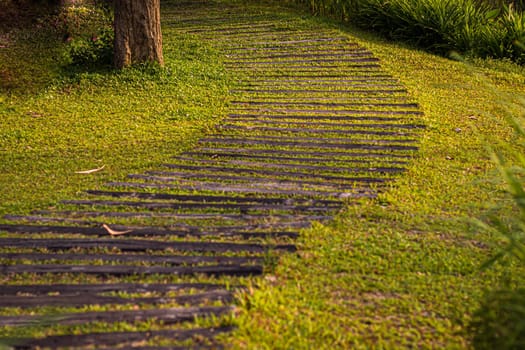 Curved Paver Path decoration landscape design, Walkway Through Grass field garden Walkway and Path.