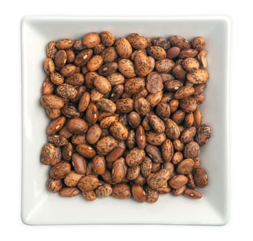 Pinto Beans from above in a square bowl isolated on white background