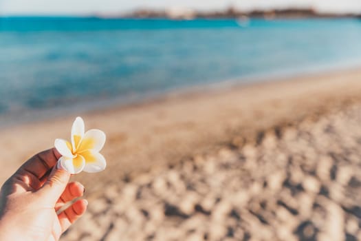 A woman's hand holds white yellow orchid flower bud on a coastline background. Rest in tropical countries. Beauty of nature. Sandy beach and sea. Sand and silent ocean coast line. High quality photo