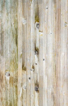 Old wood background. It can be used as texture and background.