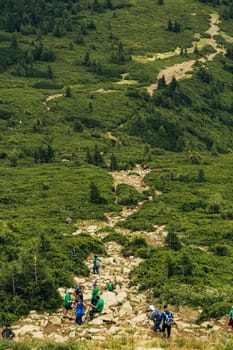 Mountain hiking through a large green meadow. Trip to the mountains.