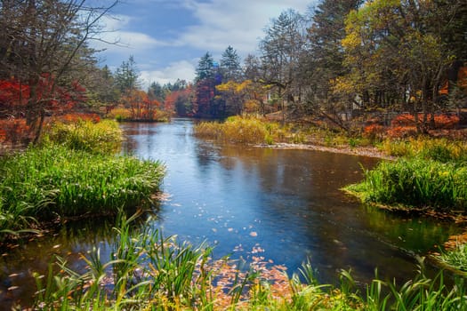 autumn leaves of Karuizawa Cloud Field Pond, Japan