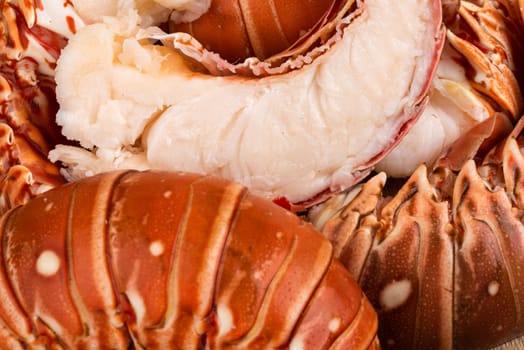 Fresh Lobster in the market