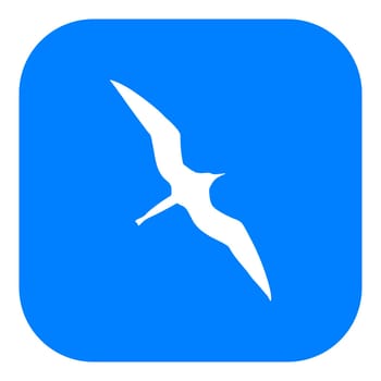 Frigate bird and app icon