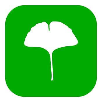 Ginkgo leaf and app icon