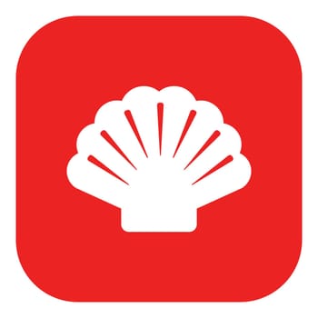 Shell and app icon