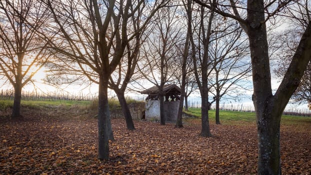 Old chapel at a oak tree grove in Burgenland