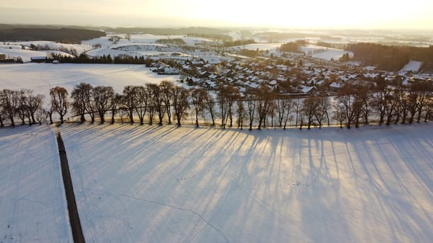 Aerial drone shot of avenue with trees in winter sunset