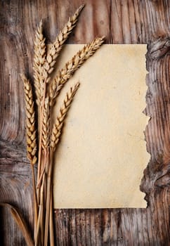 Wheat ears and vintage paper on wooden plank