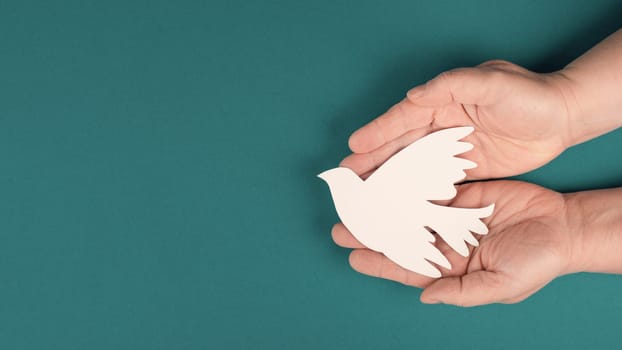 Holding a white dove in the hands, symbol of peace, paper cut out, copy space for text