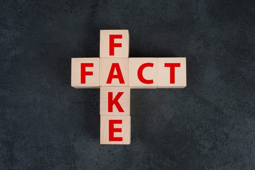 The words fact and fake are standing on wooden blocks in red letters