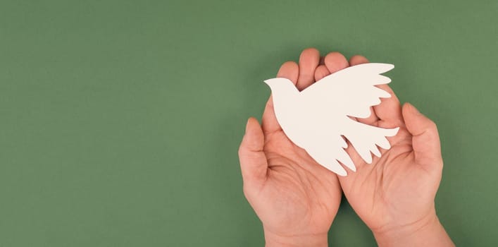 Holding a white dove in the hands, symbol of peace, paper cut out, copy space for text