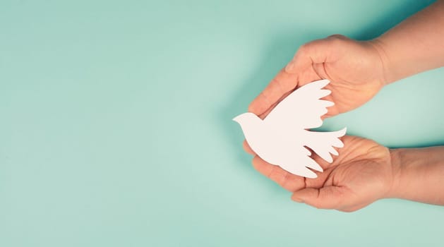 Holding a white dove in the hands, symbol of peace, paper cut out, copy space for text