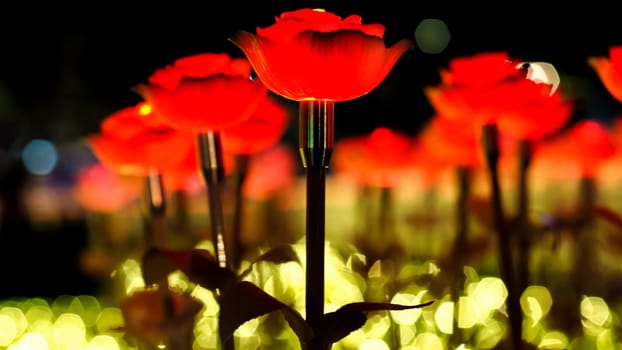 Rose background. Rose lanterns, part of Beauty and the Beast installation at Festival of Light.