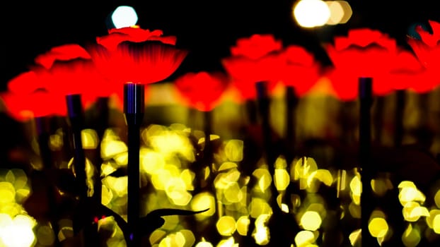 Rose background. Rose lanterns, part of Beauty and the Beast installation at Festival of Light.