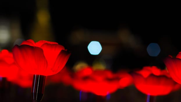 Rose background. Rose lanterns, part of Beauty and the Beast installation at Festival of Light.