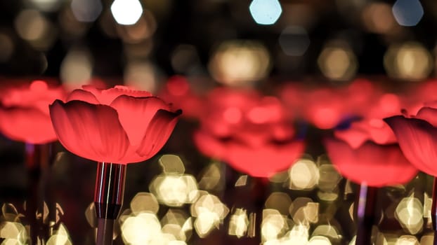 Rose background. Rose lanterns, part of Beauty and the Beast installation at Festival of Light.