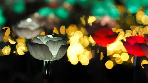 Rose background. Rose lanterns, part of Beauty and the Beast installation at Festival of Light.