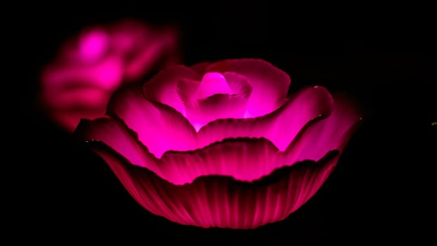 Rose background. Rose lanterns, part of Beauty and the Beast installation at Festival of Light.
