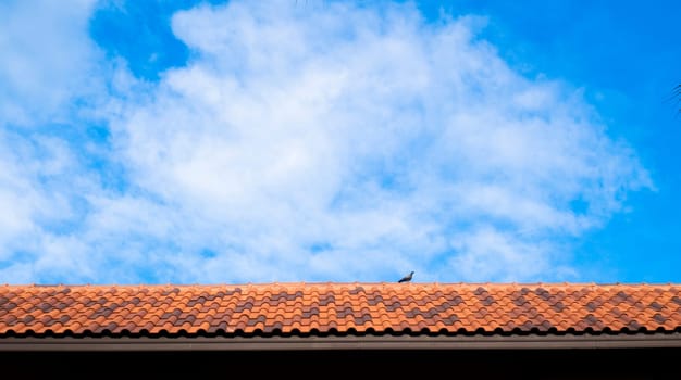 roof top on sky background. Close up of brown clay roof tiles. Red old dirty roof. Old roof tiles. Close-up aerial view of the traditional red Mediterranean roofs with blue summer sky in the old town