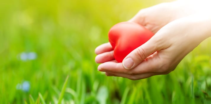 Woman hands holding red heart shape on the green grass background. Conceptual symbol of love of nature and people relationship.