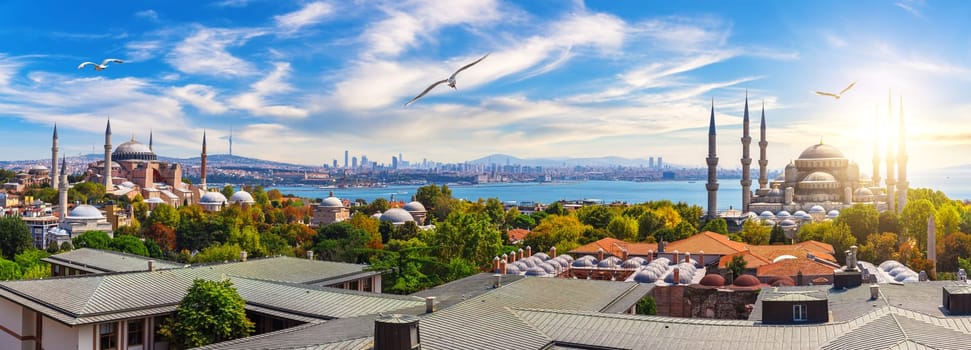 Istanbul skyline panorama of the roofs, the Hagia Sophia and the Blue Mosque, Turkey.