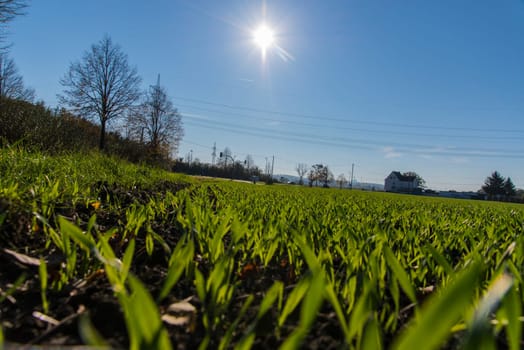 agriculture in spring