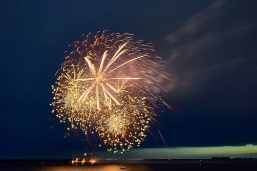 Colorful fireworks on the black sky background. High quality photo