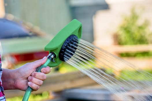 watering plants in the heat from a hose with a nozzle like a watering can. High quality photo