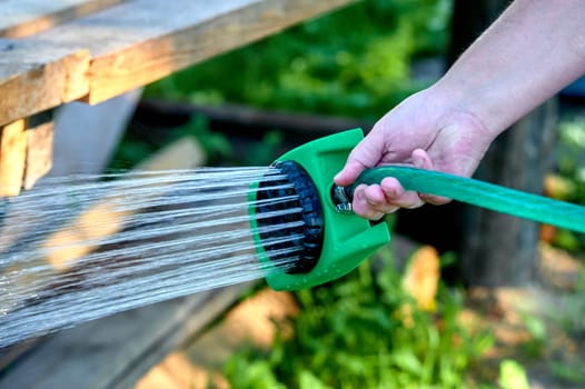 watering plants in the heat from a hose with a nozzle like a watering can. High quality photo