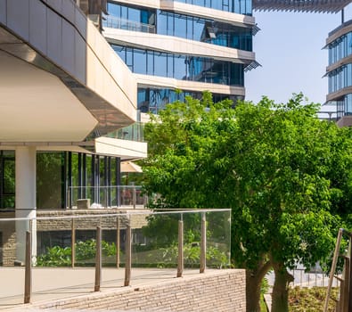 Contemporary urban city district with well run glass building, verdant lawn and trees before sunset