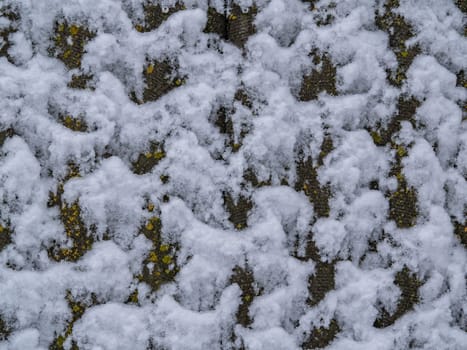 The texture of the adhesion of snow on a concrete wall. Accumulation of white snow. Natural pattern. Ice covered surface. Winter season. Frosty weather. Background image.
