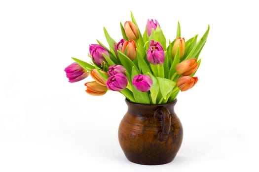 colourful tulips in a vase on white background